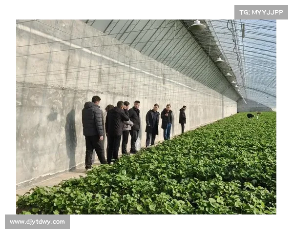 探讨首都北京大型赛事执行挑战应对与创新发展策略 探讨首都北京大型赛事执行挑战应对与创新发展策略